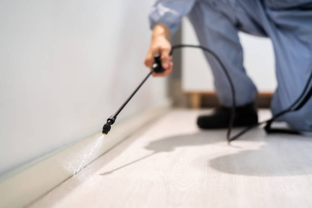 Licensed Termite Control service in Spring Hope, NC - Nex Pest Control