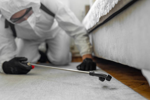 Professional Termite Control technician working in Spring Hope, NC