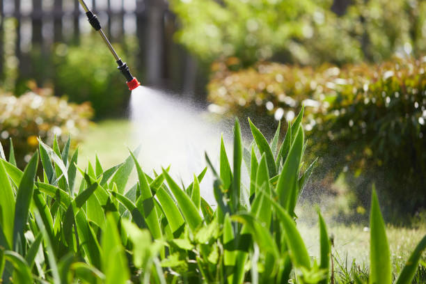 24/7 Emergency Termite Control experts in Spring Hope, NC