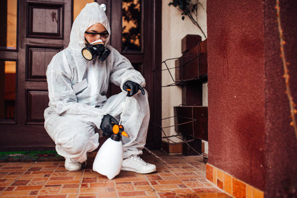 Reliable Termite Control contractor in Spring Hope, NC by Nex Pest Control