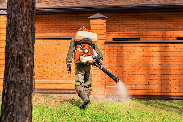 Top rated local Termite Control specialists in Spring Hope, NC